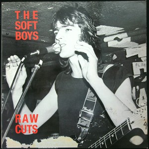 SOFT BOYS Raw Cuts (Overground Over 10) UK 1990 Mini-LP (Psychedelic Rock, Indie Rock, Punk)